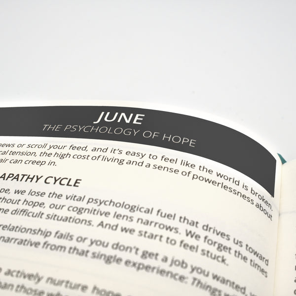 2027 Mental Fitness & Wellbeing Diary - Daily Format