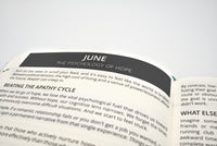 2027 Mental Fitness & Wellbeing Diary - Daily Format