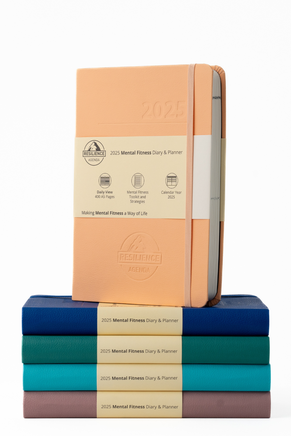 2025 Mental Fitness Diary & Planner - Daily Format