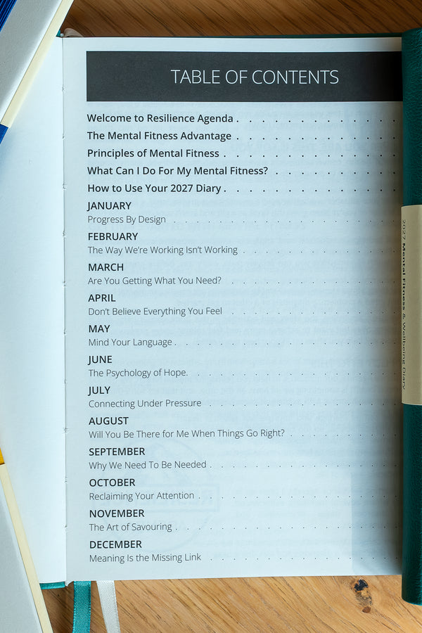 2027 Mental Fitness & Wellbeing Diary - Daily Format