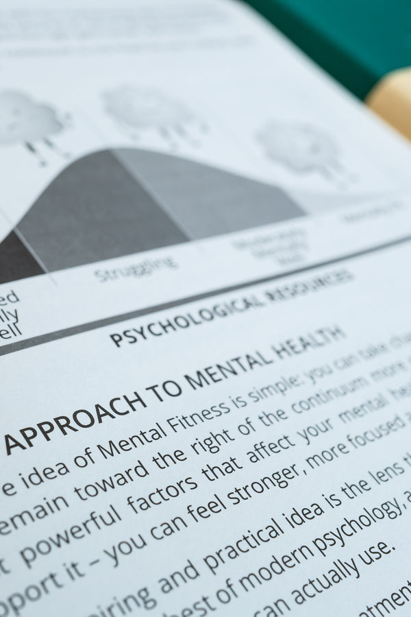 2027 Mental Fitness & Wellbeing Diary – Weekly Format