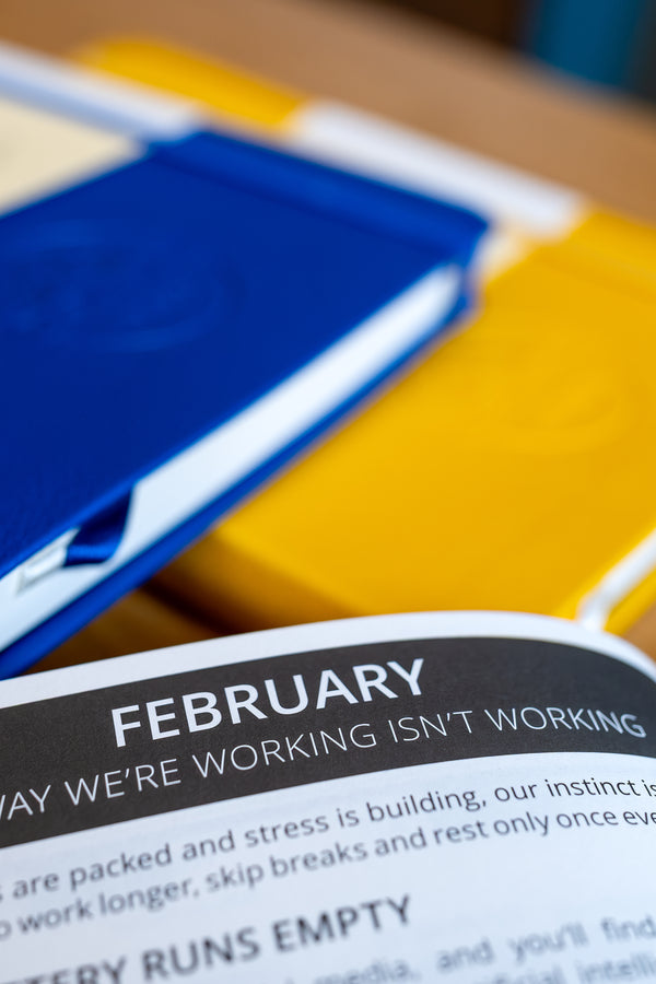 2027 Mental Fitness & Wellbeing Diary – Weekly Format