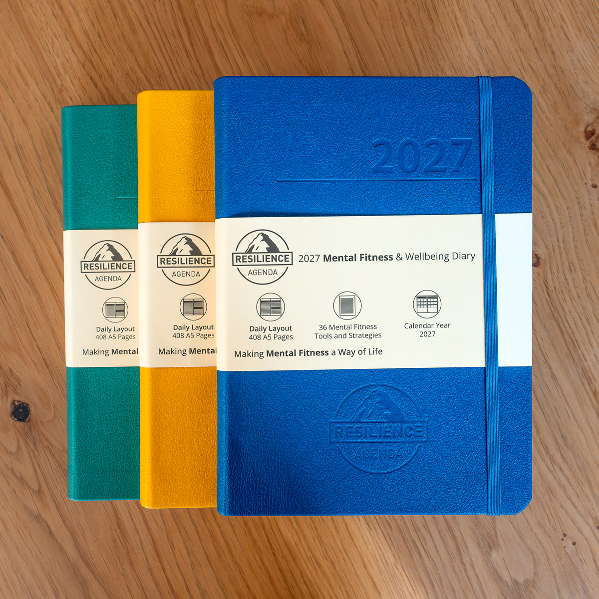 2027 Mental Fitness & Wellbeing Diary - Daily Format