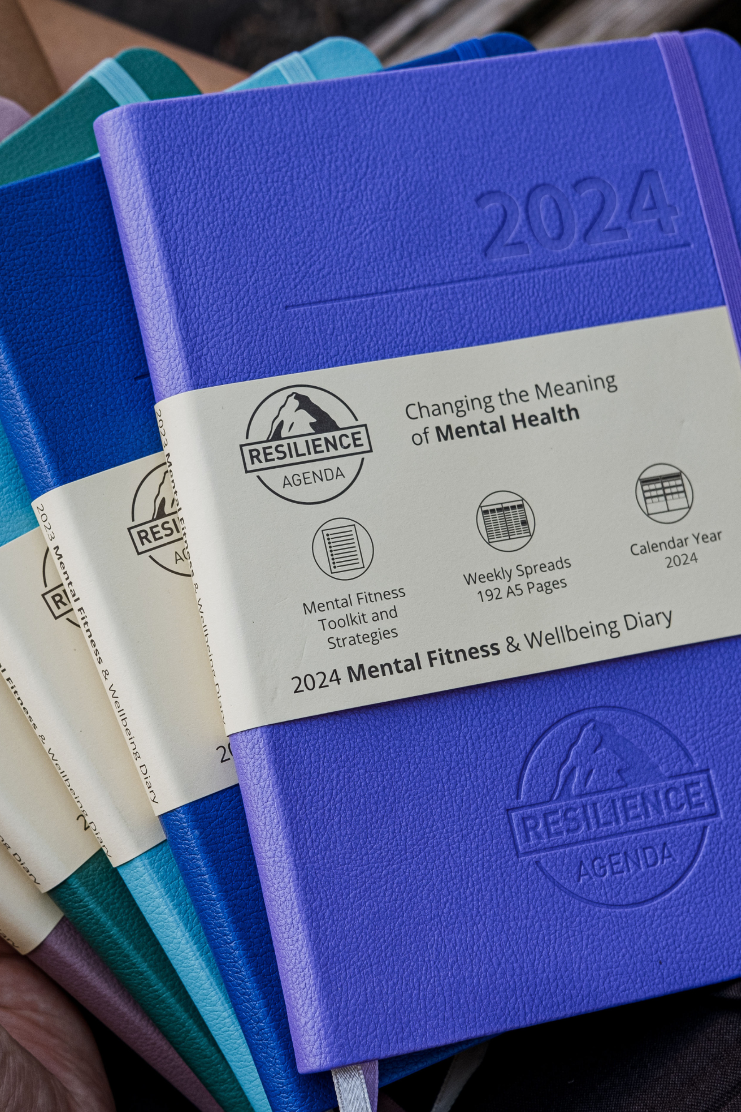 2024 Mental Fitness & Wellbeing Diary